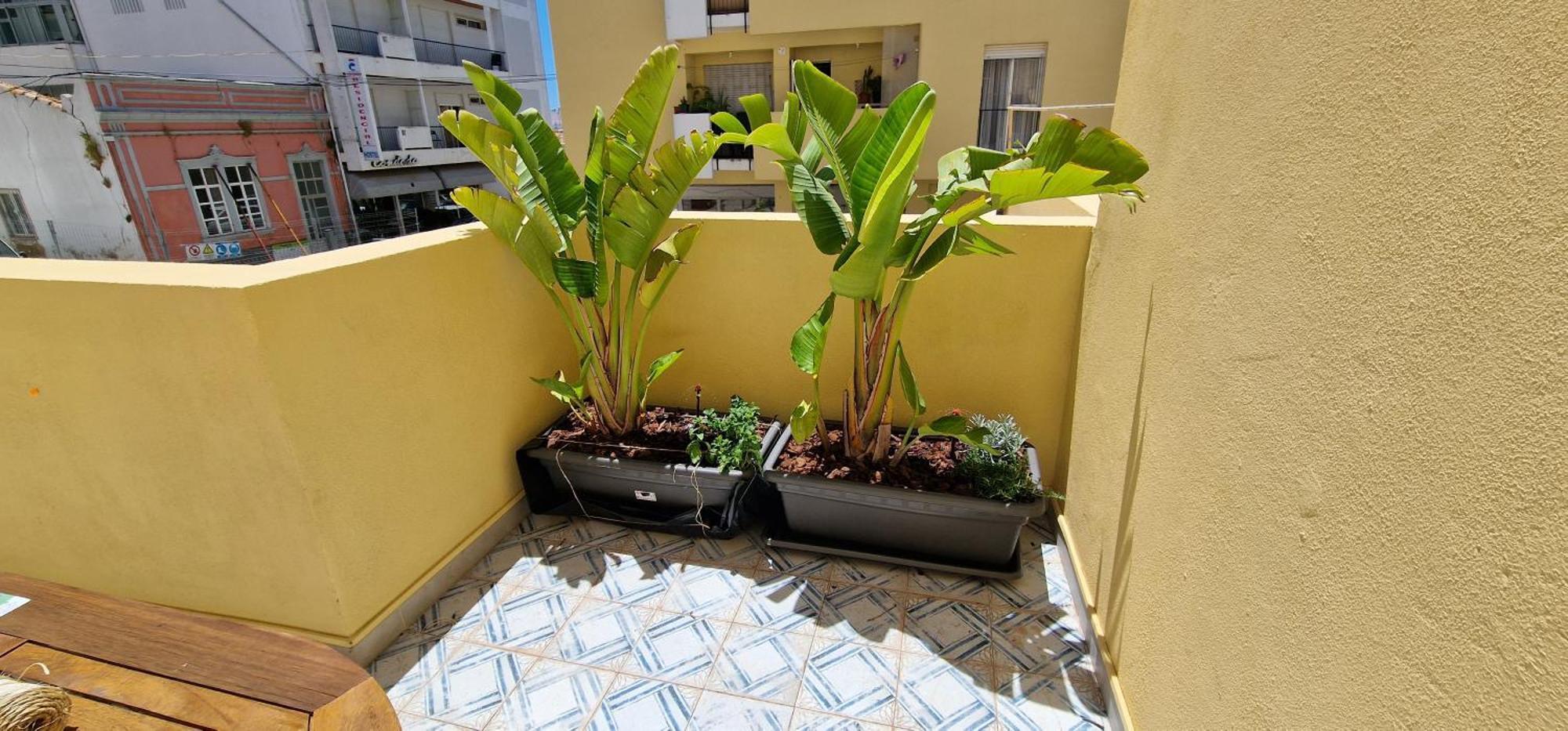 Casa Da Acoteia Lägenhet FAO Exteriör bild