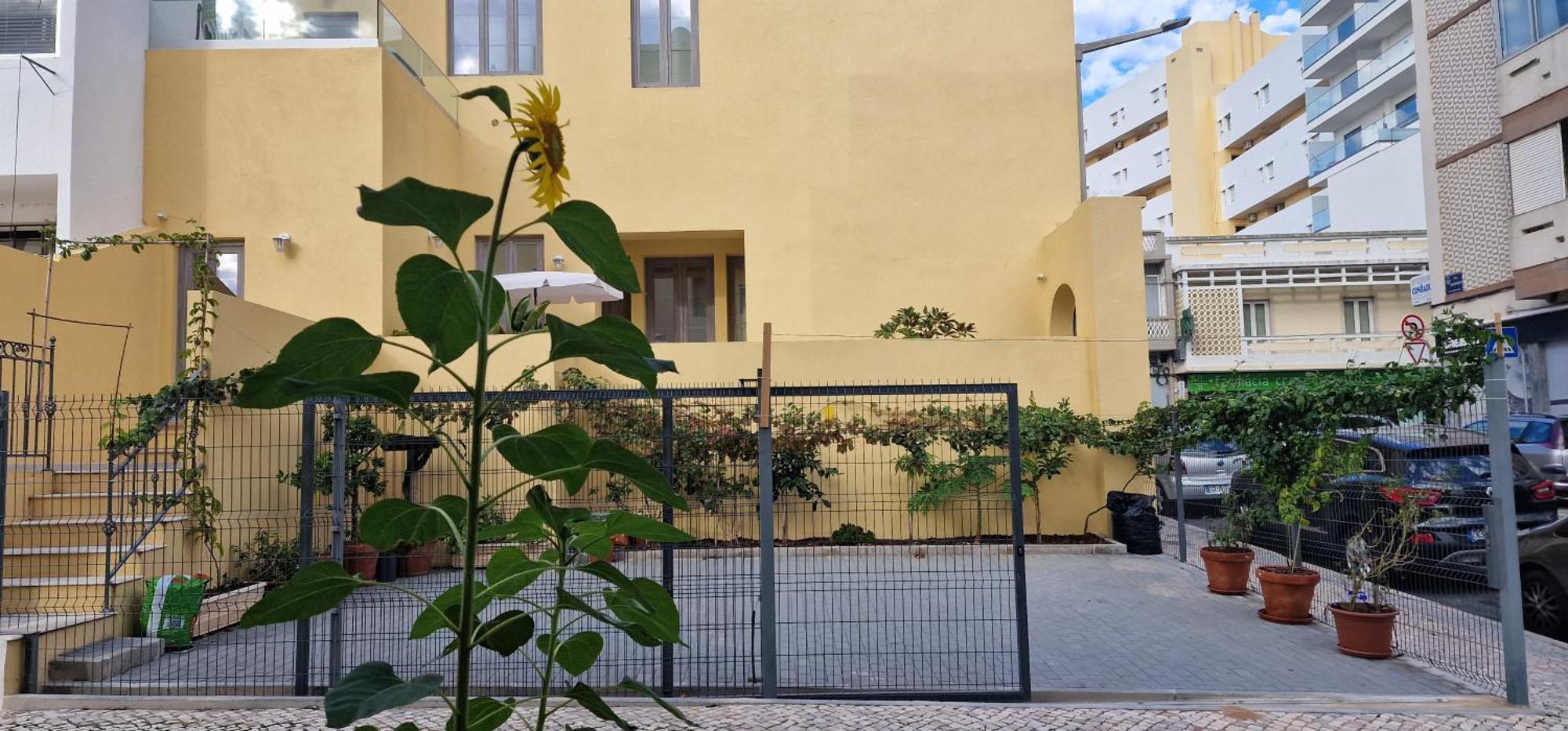 Casa Da Acoteia Lägenhet FAO Exteriör bild